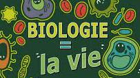 Bios l1